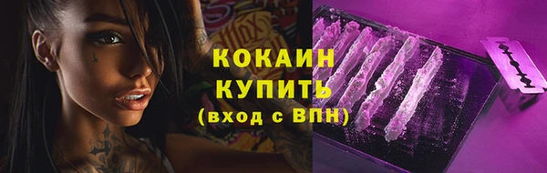 прущие грибы Баксан