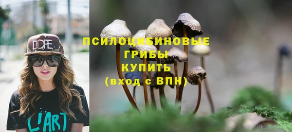 прущие грибы Баксан