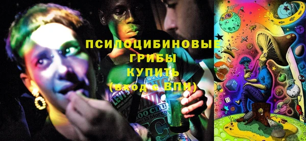 прущие грибы Баксан