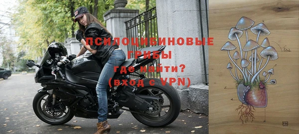 прущие грибы Баксан