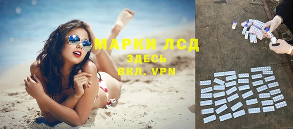 прущие грибы Баксан