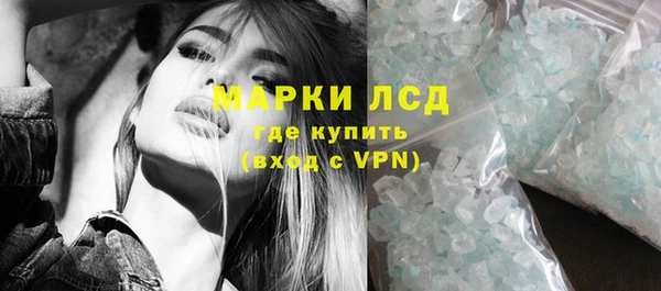 прущие грибы Баксан