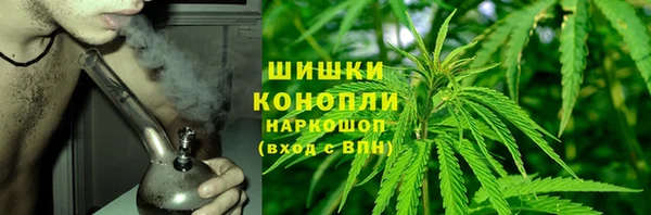 прущие грибы Баксан