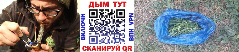 Бошки Шишки планчик Грязовец